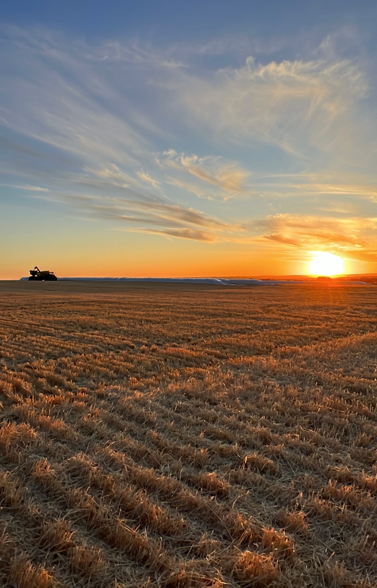 Sunnydale grain bags at sunset, Bulyee WA