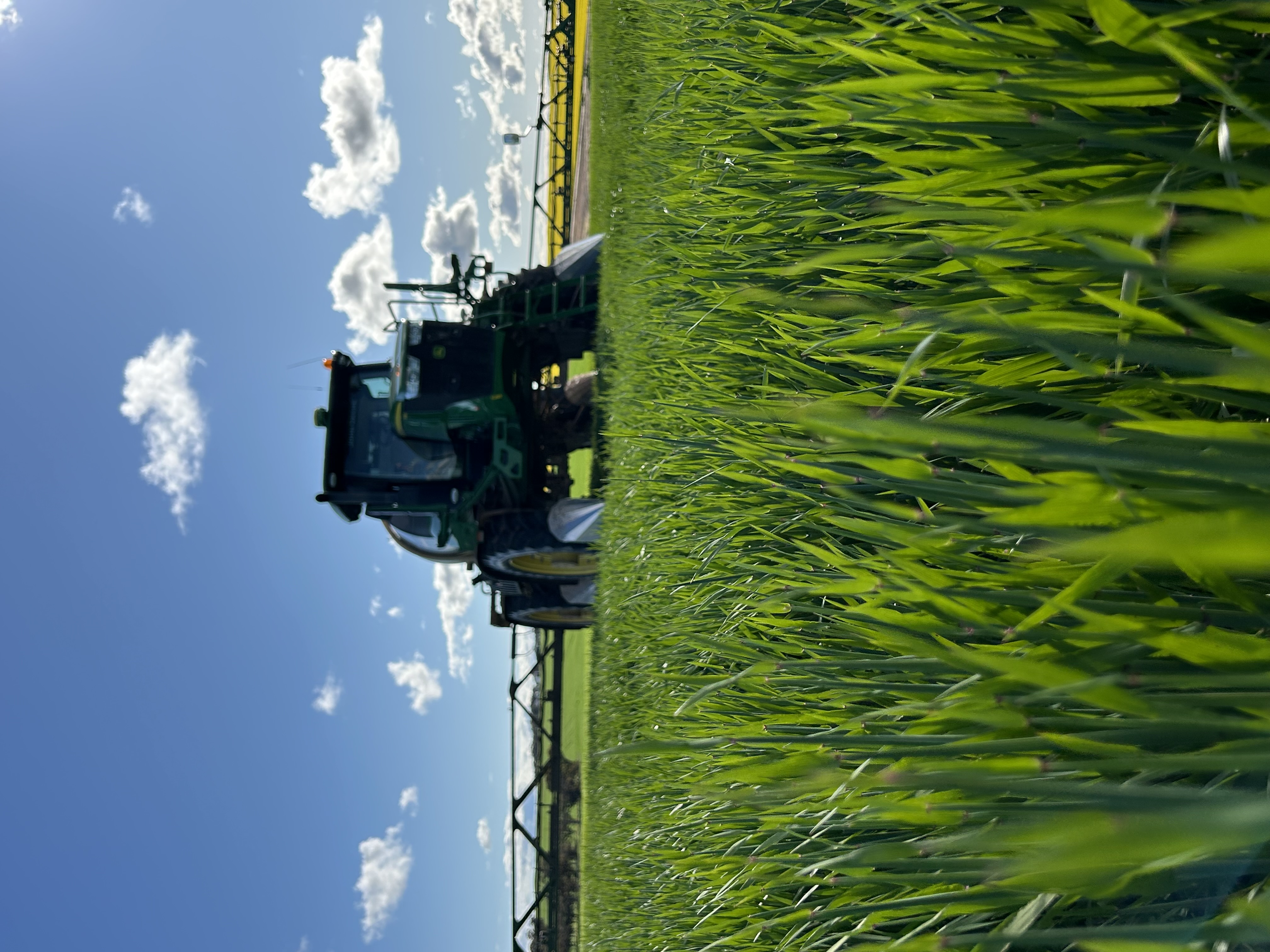 Boomspray in green barley crop, Sunnydale