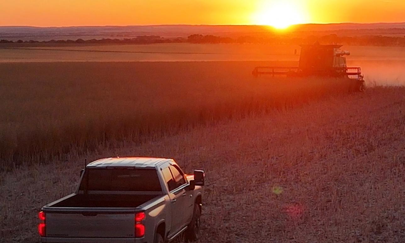 Sunnydale Farming Co. broadacre cropping, Bulyee WA
